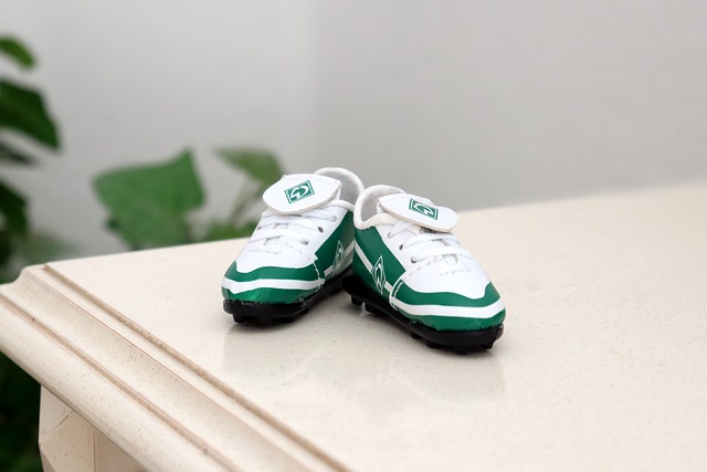 CBA：吉林队主场战胜福建