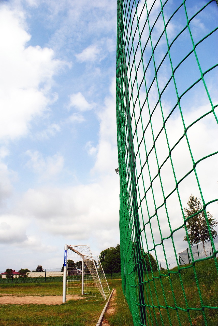 前帕尔马主帅：贝尔纳韦作为恰20的替补是国米的完美选择